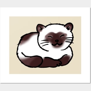 sleepy siamese cat Posters and Art